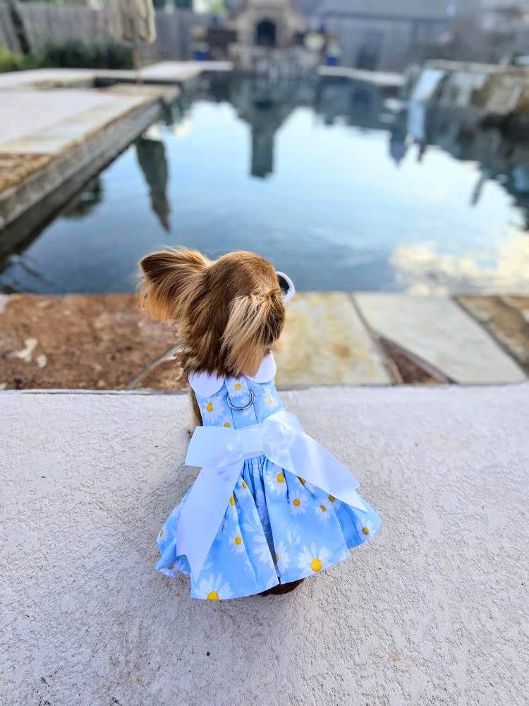 Blue Daisy Dog Dress w/ Matching Leash