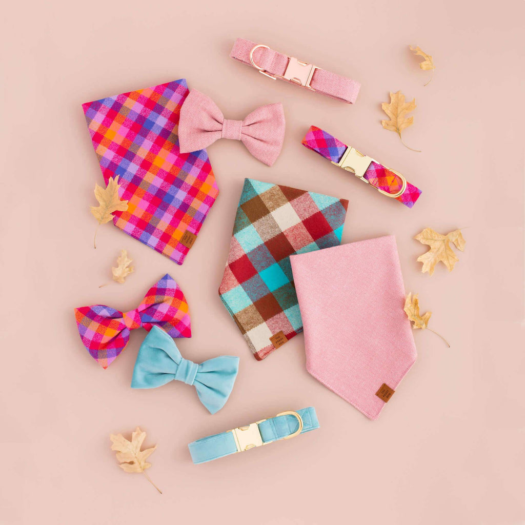 Robin's Egg Blue Velvet Spring Dog Collar