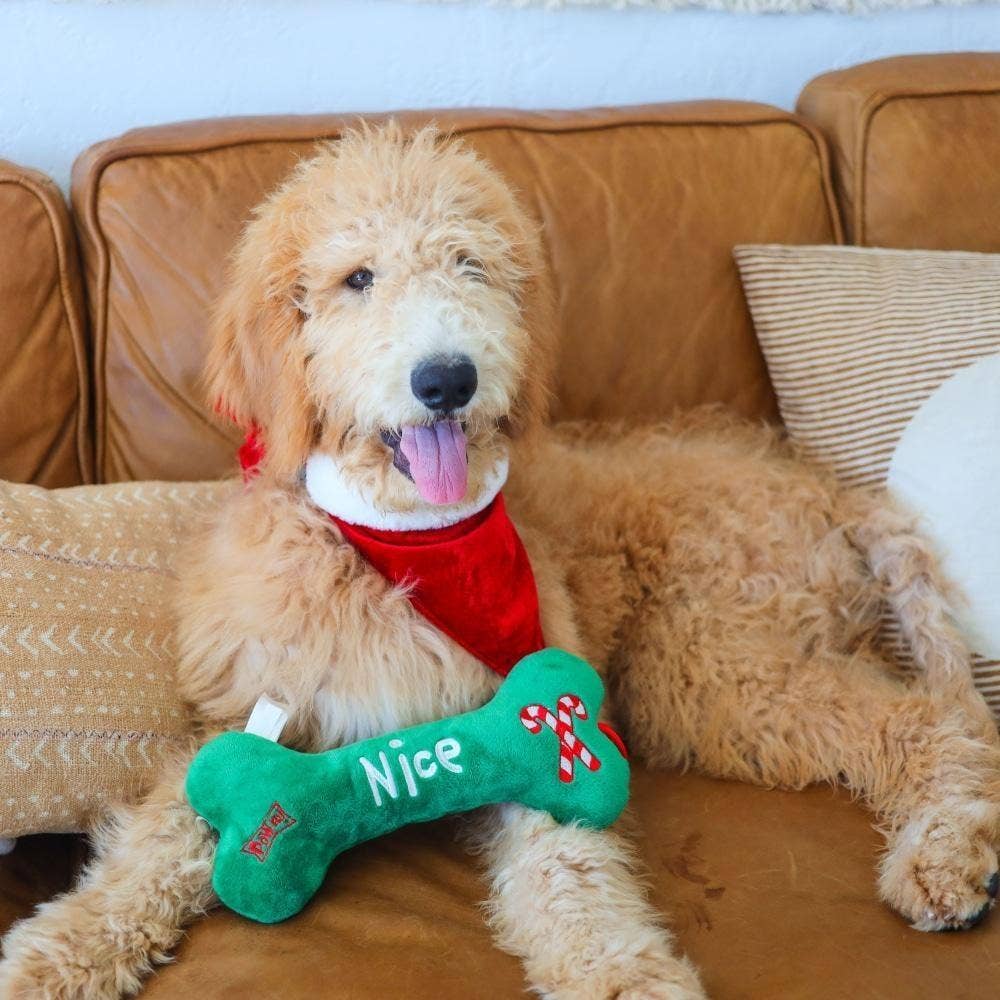 Naughty Nice Bone For Dogs