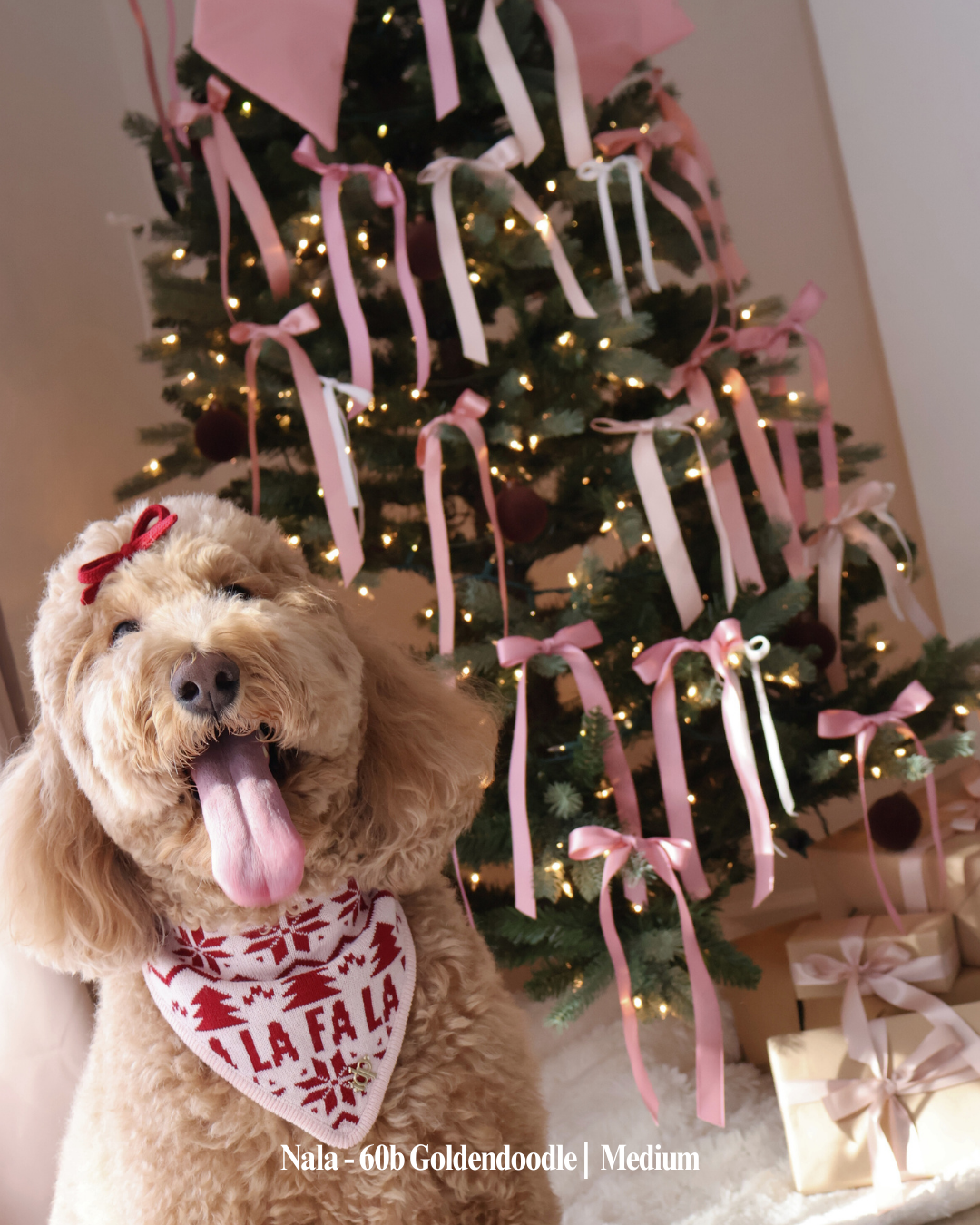 CHRISTMAS DOG BANDANA | FA LA LA