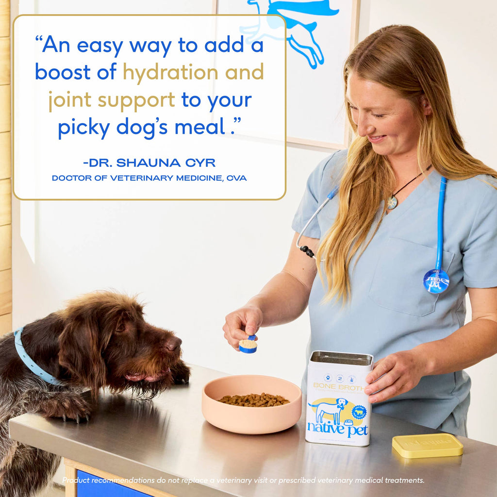 Beef Bone Broth Powder, Grain-Free Food Topper