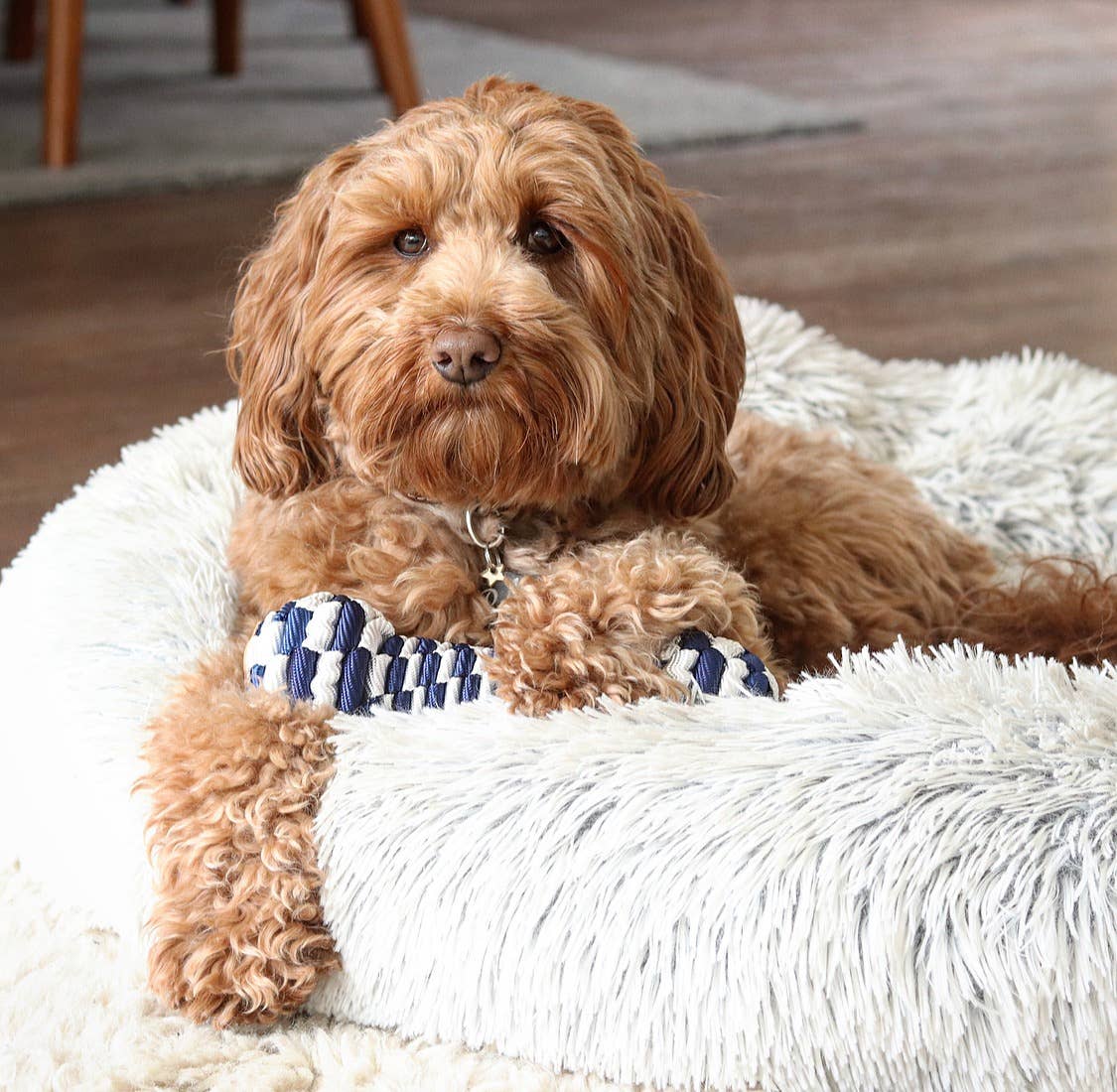 Tall Tails Braided Bone Toy, Navy - 9"