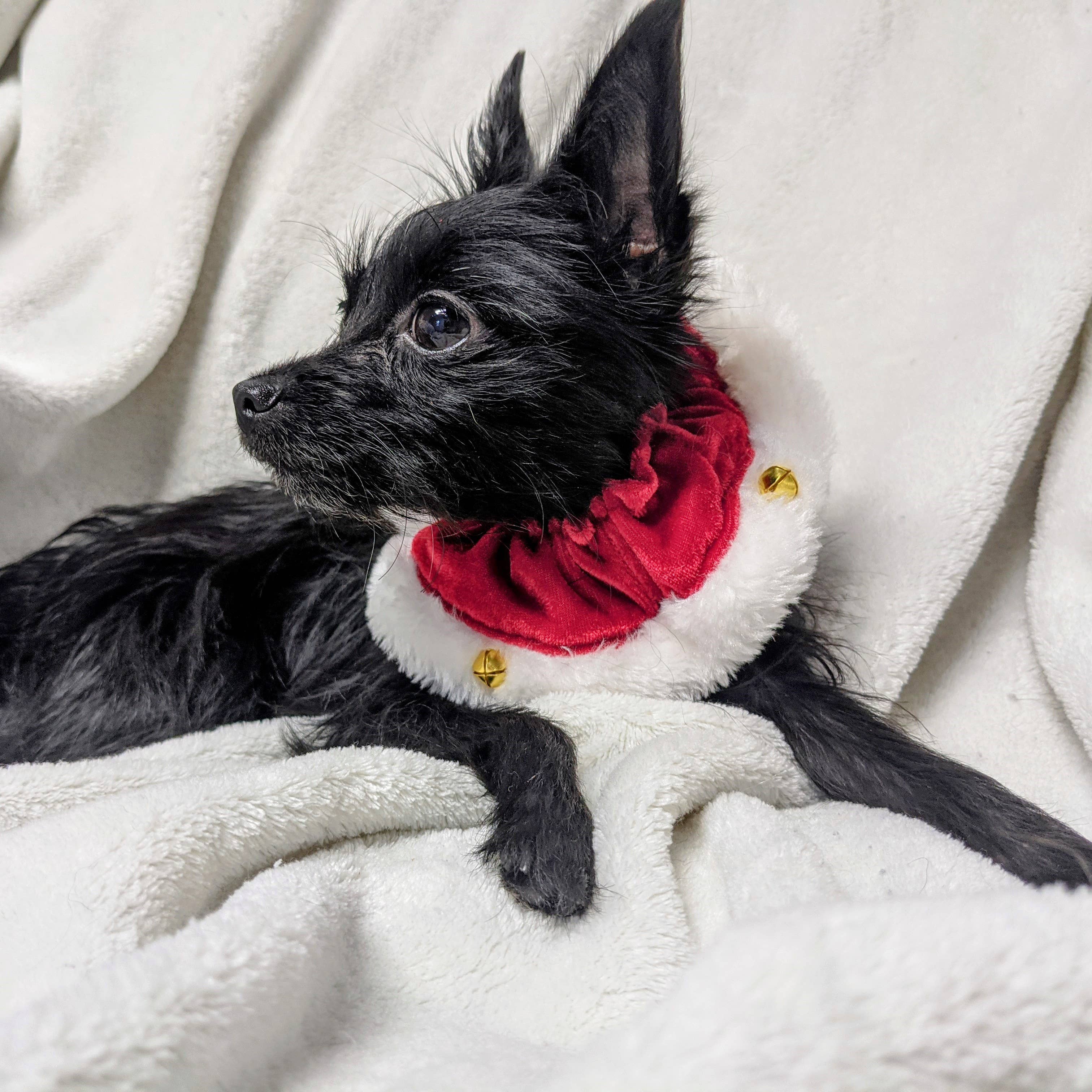 H&K Ruff Santa Red