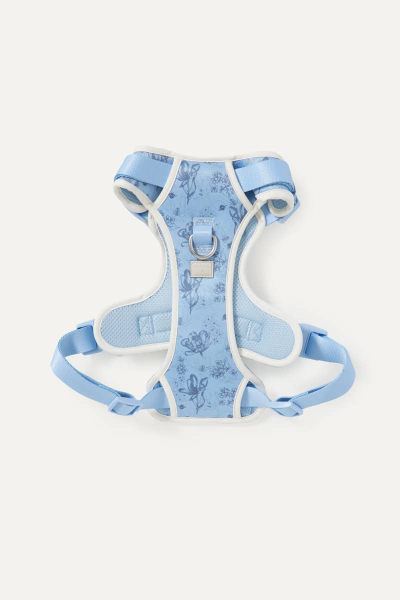 Bridgerton x maxbone Walk Set for Dogs: Medium