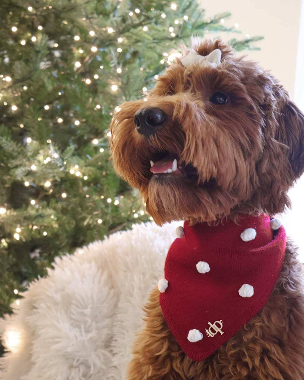 CHRISTMAS DOG BANDANA | HOLIDAY CHEER