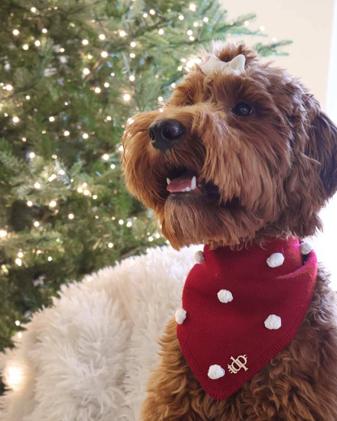 CHRISTMAS DOG BANDANA | HOLIDAY CHEER