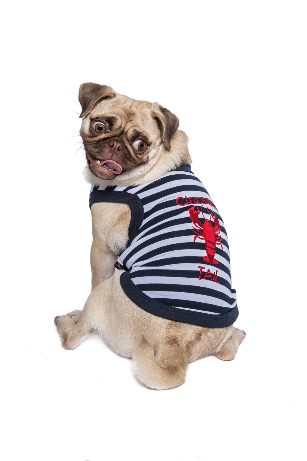 Lobster Chasing Tail Dog T-Shirt – Funny Shirt for Pets