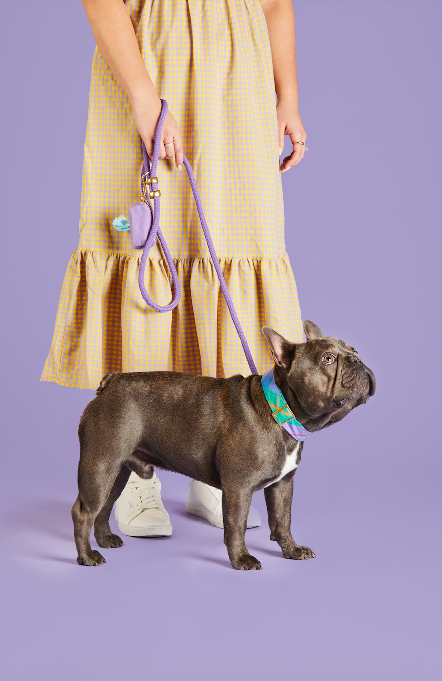 Violet Waxed Canvas Poop Bag Dispenser
