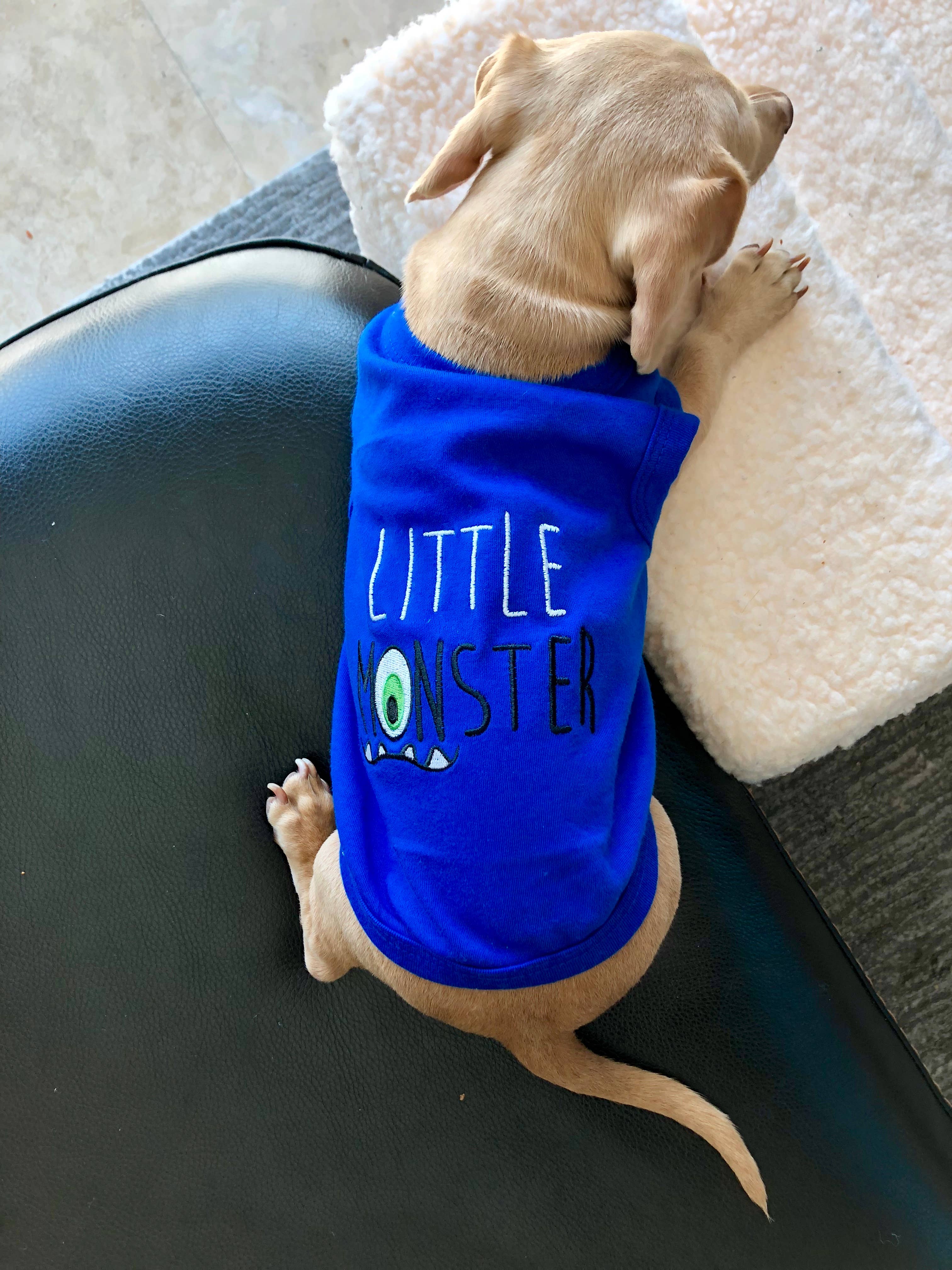 Little Monster Dog T-Shirt – Playful & Stylish Pet Shirt