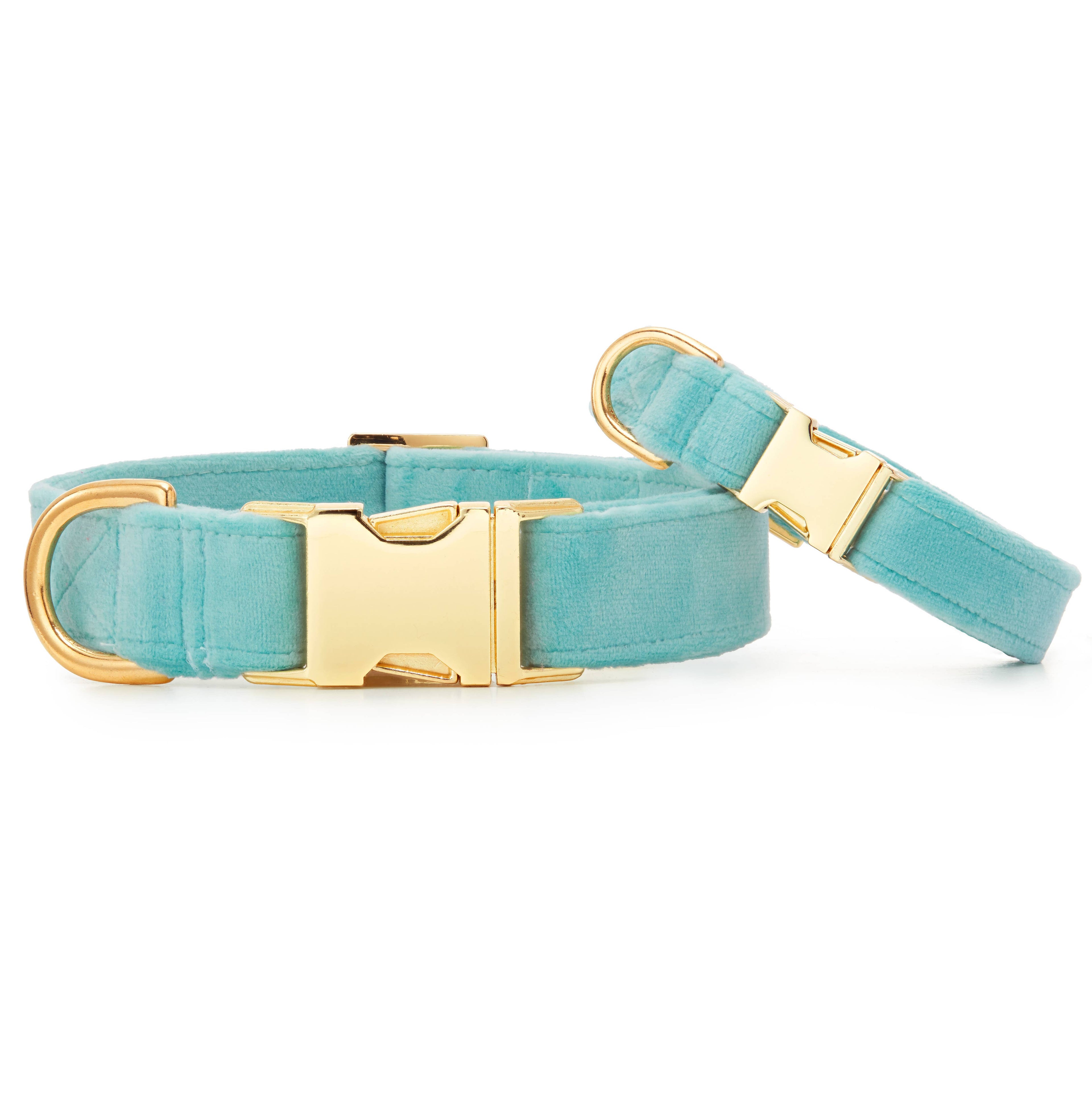 Robin's Egg Blue Velvet Spring Dog Collar