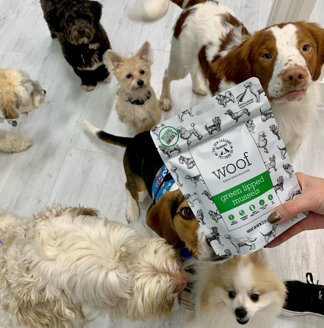 Woof NZ Green Mussel Treat 1.76oz