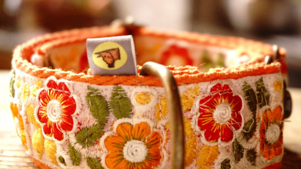 orange collar with floral design