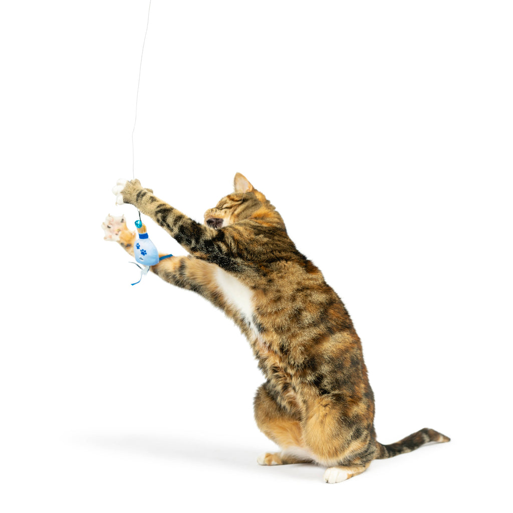 Teaser Kitty Loco Cat Wand
