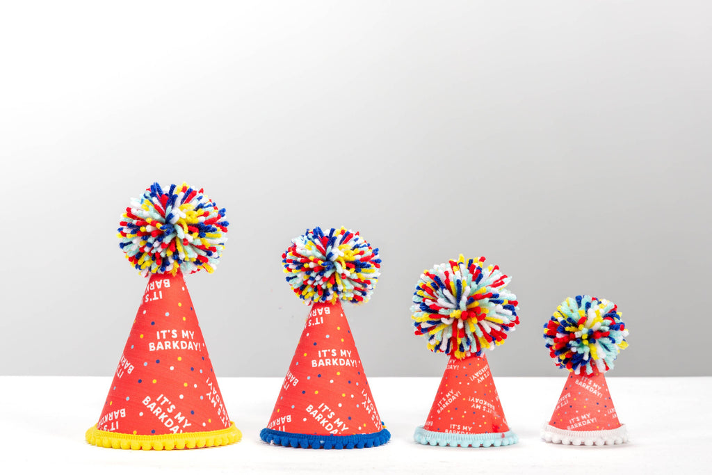 It's My Barkday Party Hat