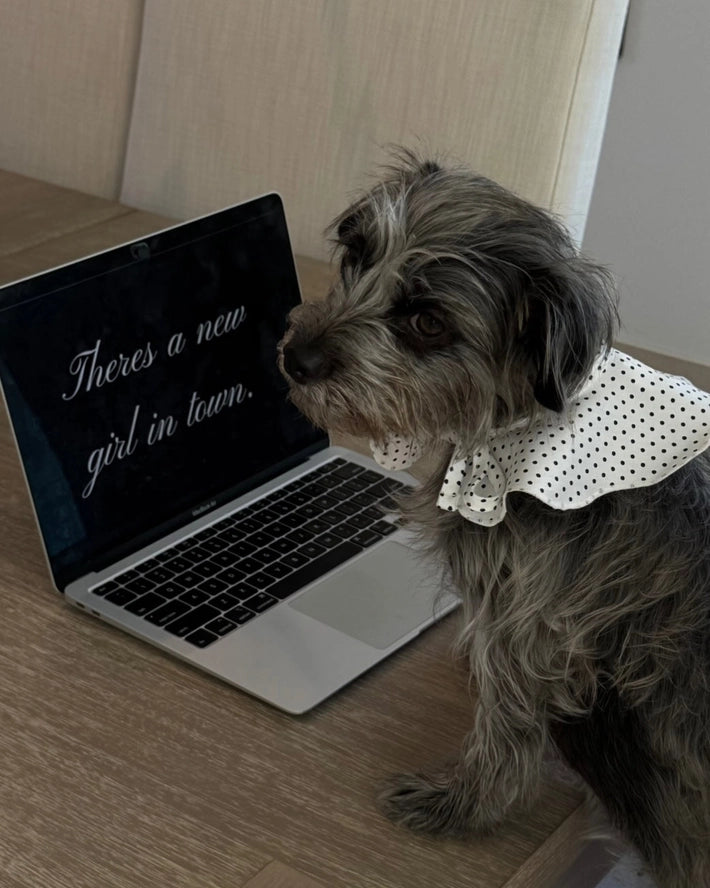 The Wanda Collar- Dottie