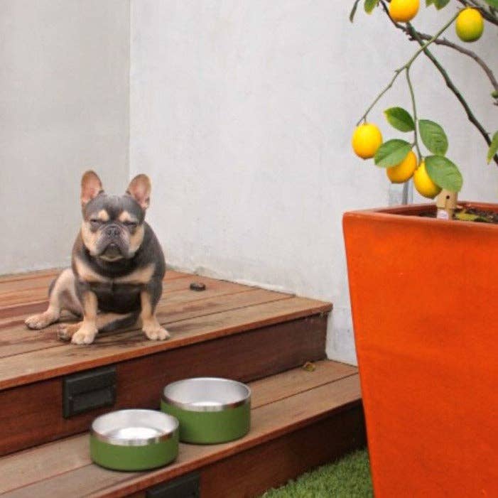 Stainless Steel Pet Food/Water Bowl - Dishwasher Safe