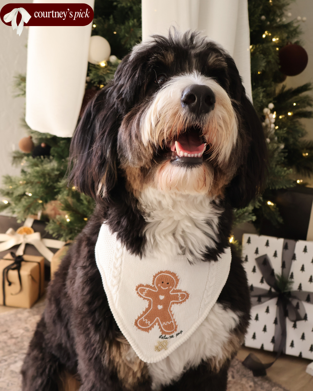 CHRISTMAS DOG BANDANA | GMAS GINGERBREAD