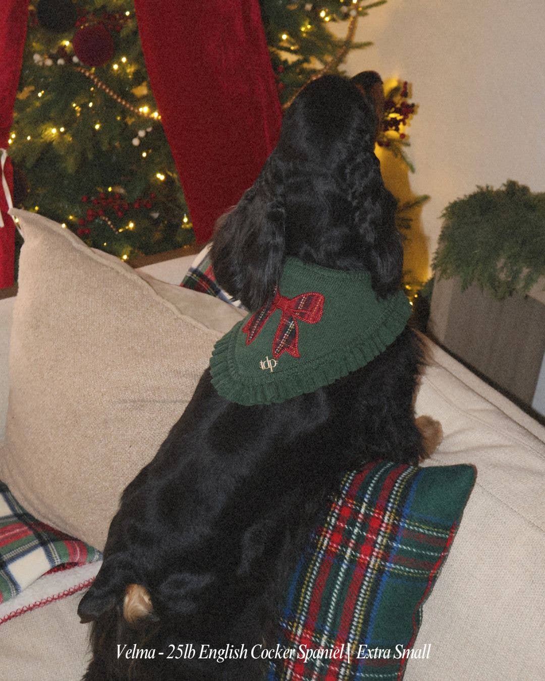 BANDANA | KENSINGTON BOW