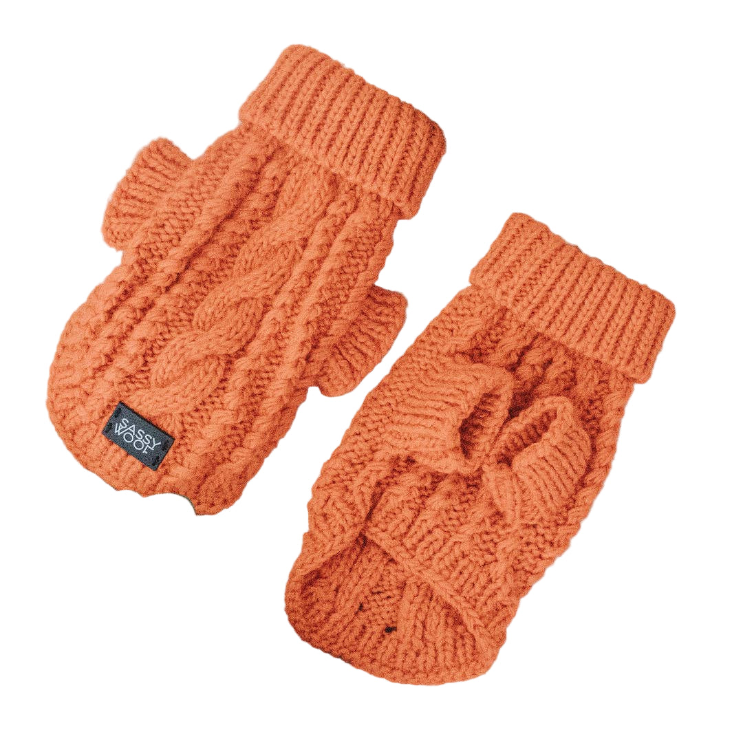Dog Cable Knit Sweater - Orange