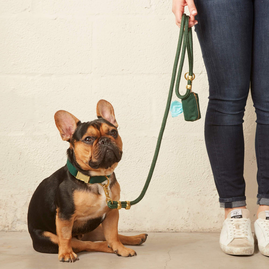 Evergreen Marine Rope Dog Leash: 5 feet