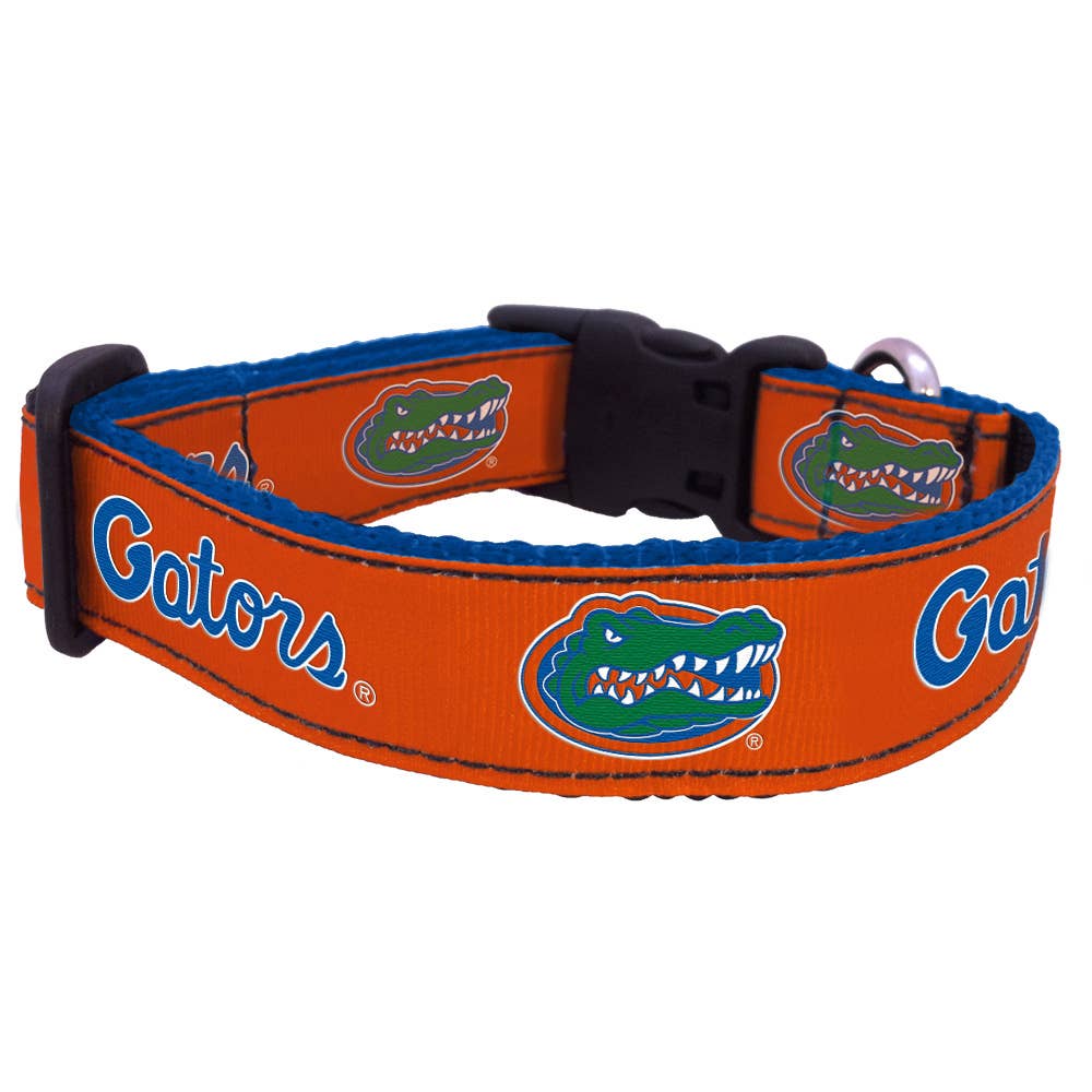 University of Florida  -  Collar