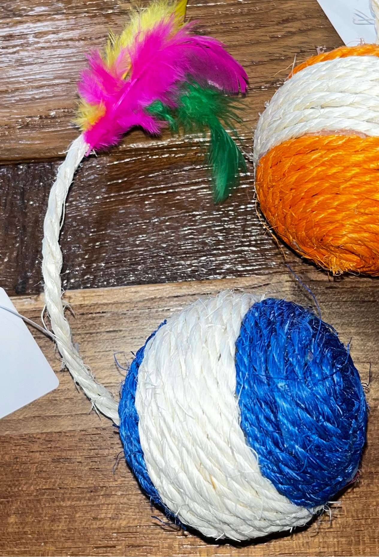 cat toy with feathers