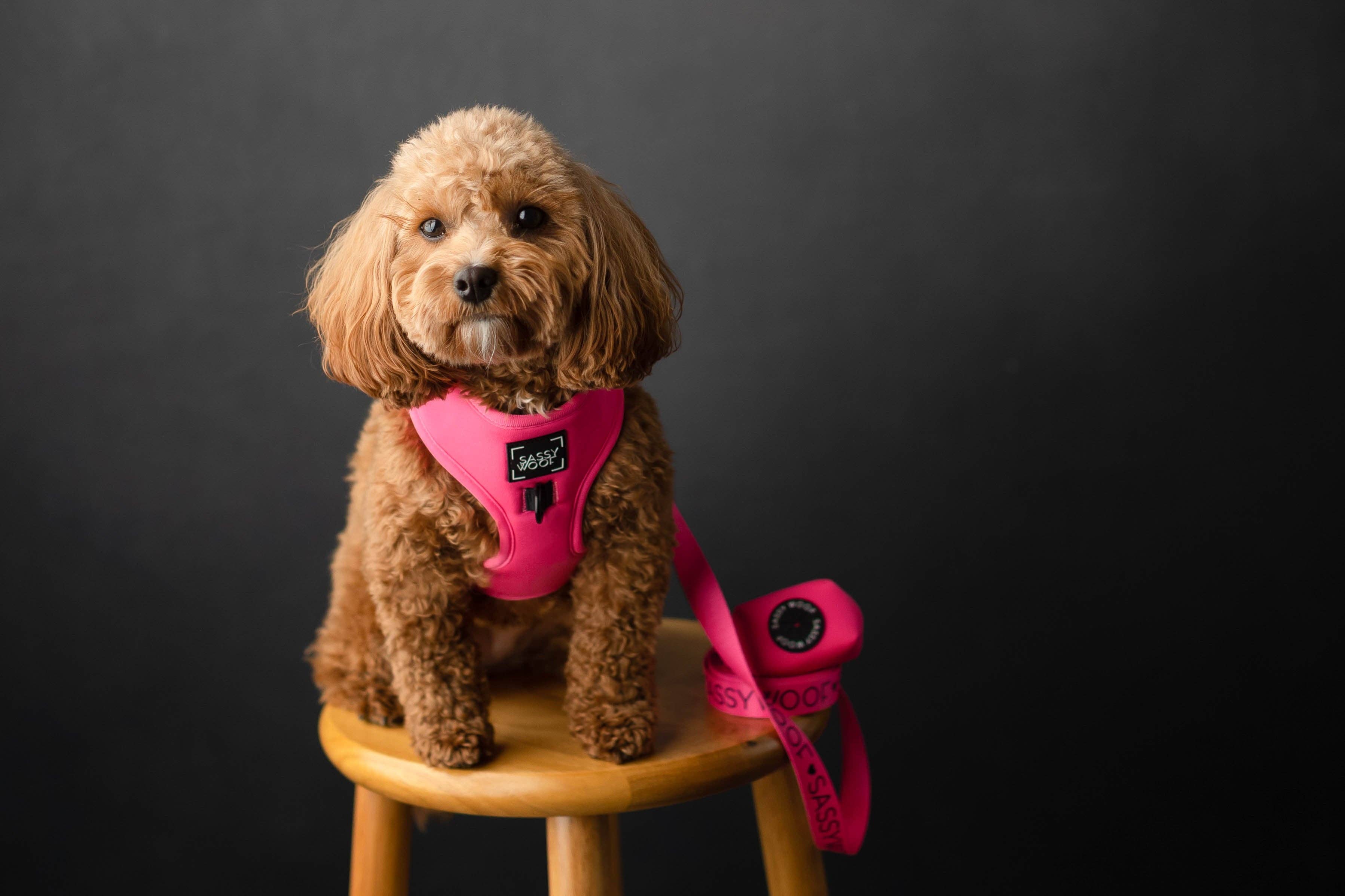 Dog Waste Bag Holder - Neon Pink