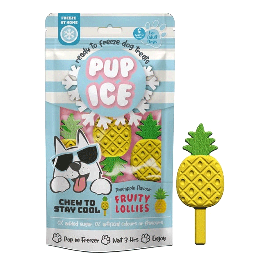 Pup Ice Fruity Lollies, Pineapple