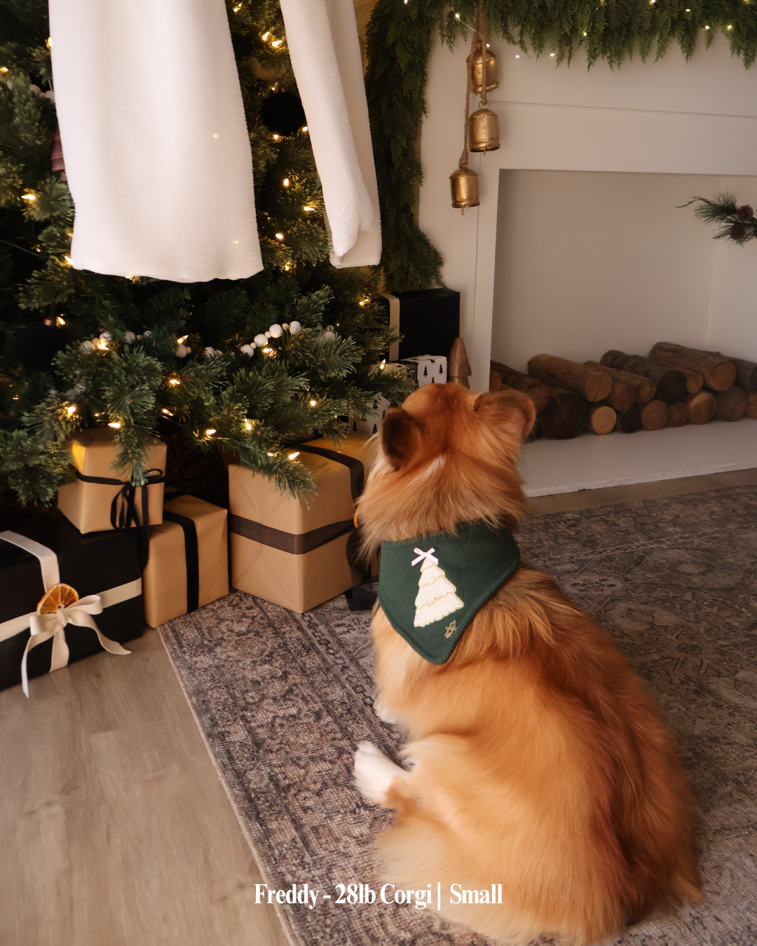 CHRISTMAS DOG BANDANA | TDP FAMILY TREE