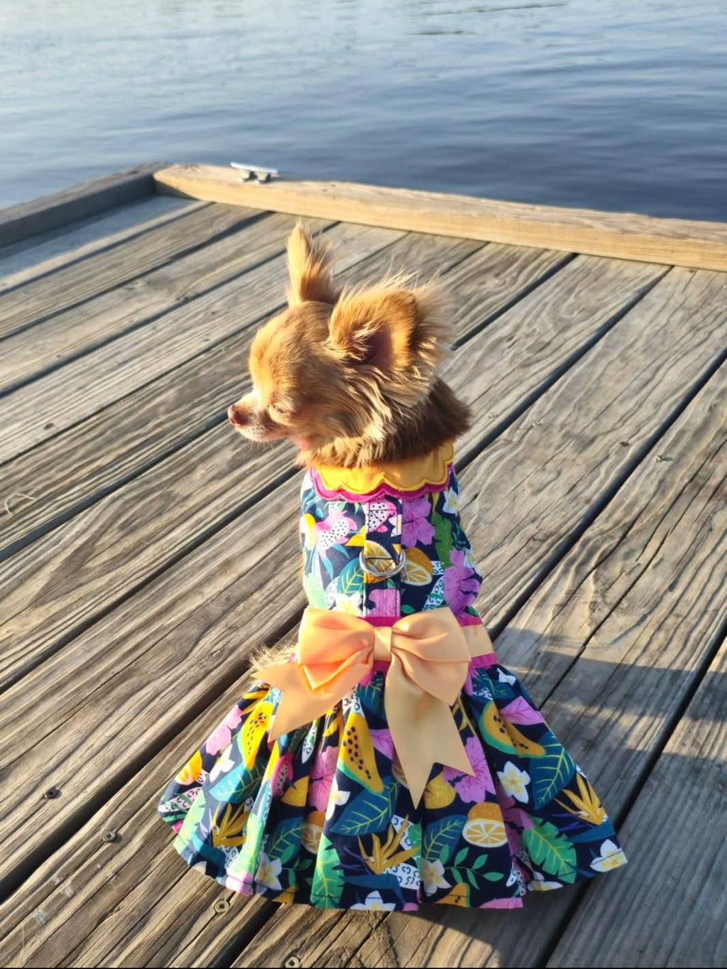 Fiesta Floral Dog Dress with Matching Leash