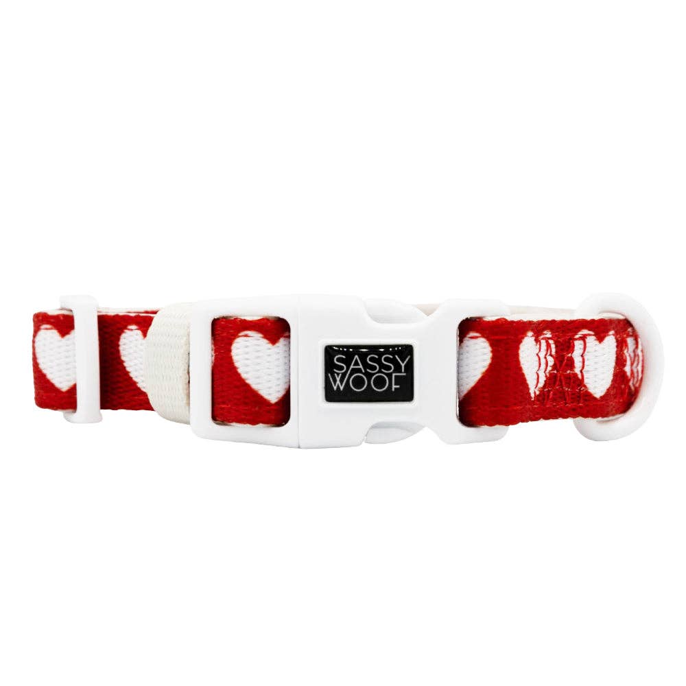 Dog Collar - Little Love