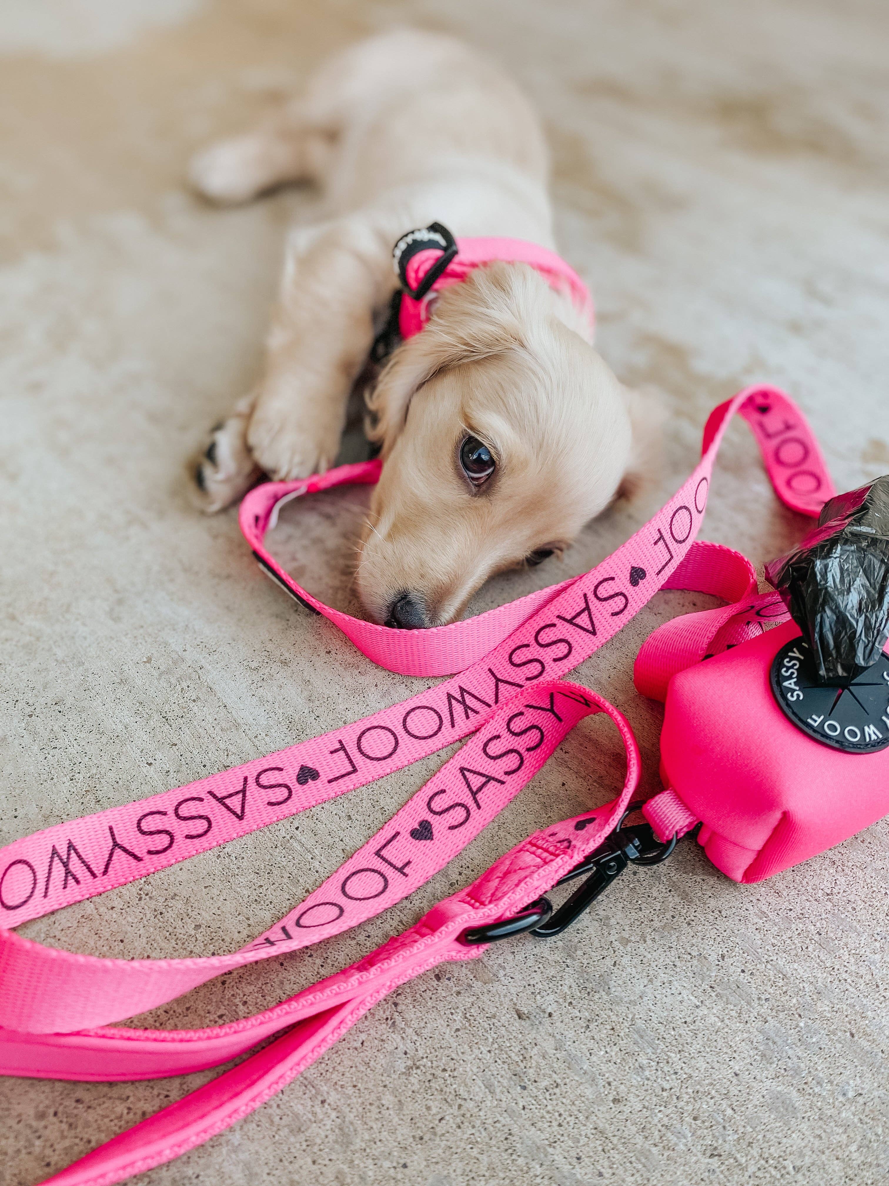 Dog Waste Bag Holder - Neon Pink