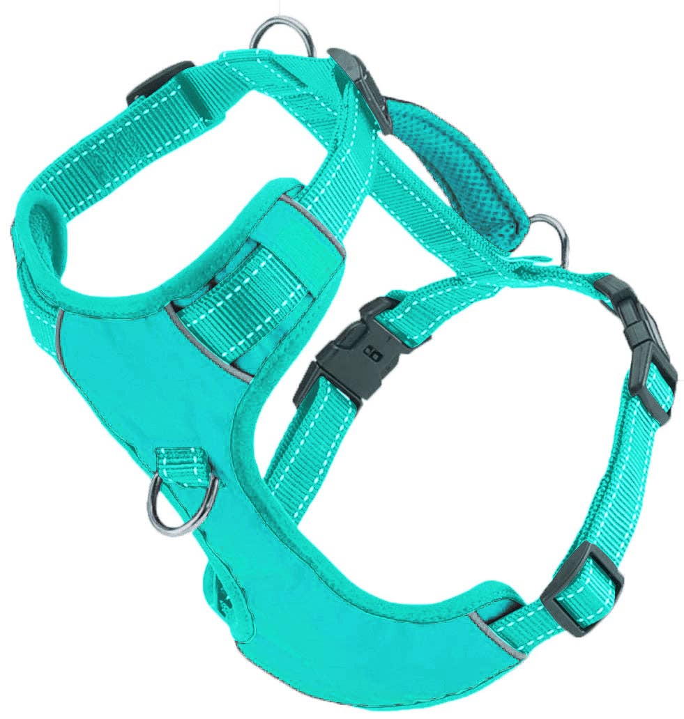 Chesapeake Bay Dog Harness