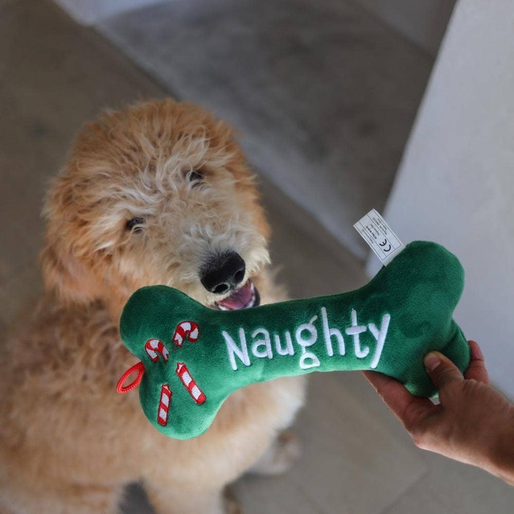 Naughty Nice Bone For Dogs