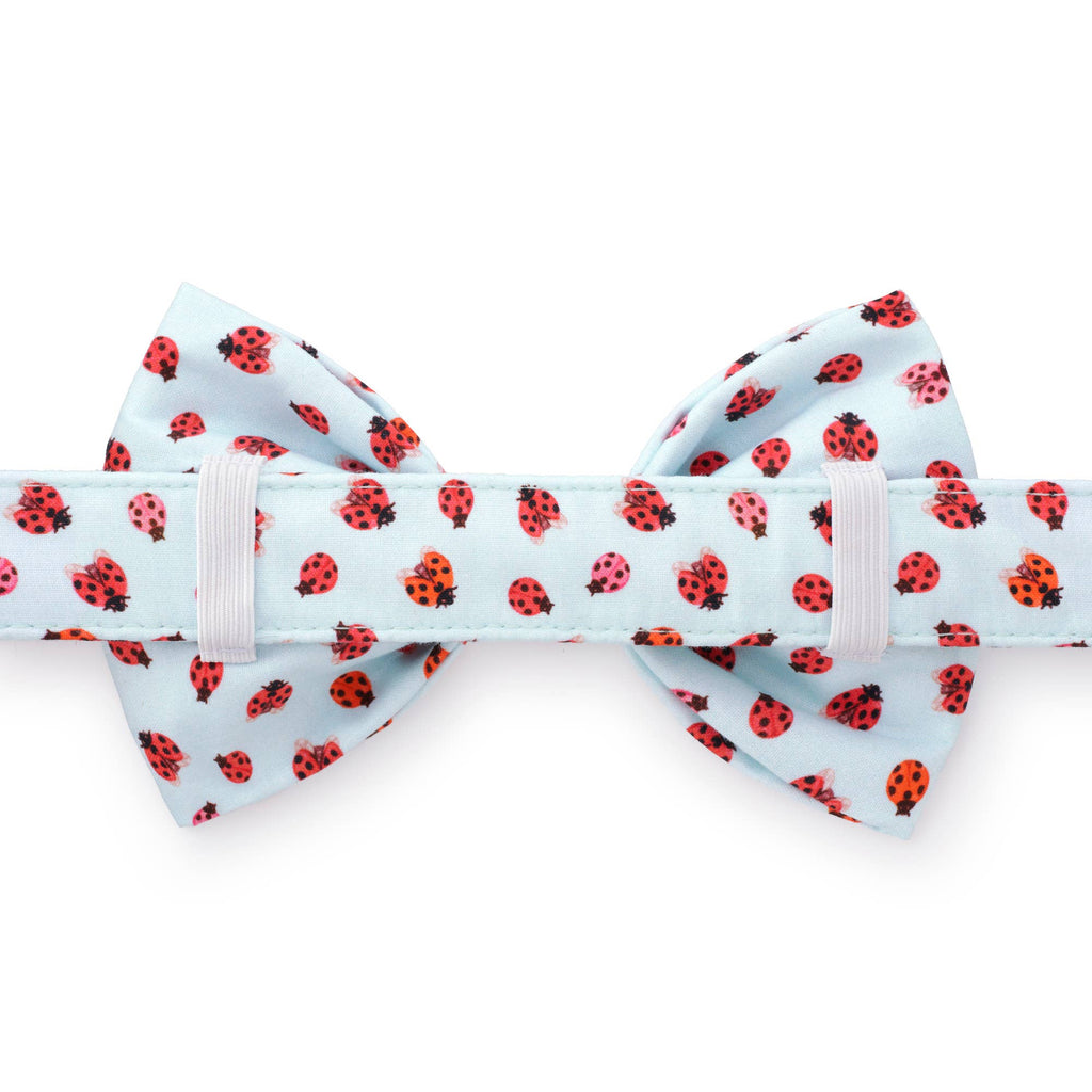 Love Bug Summer Dog Bow Tie