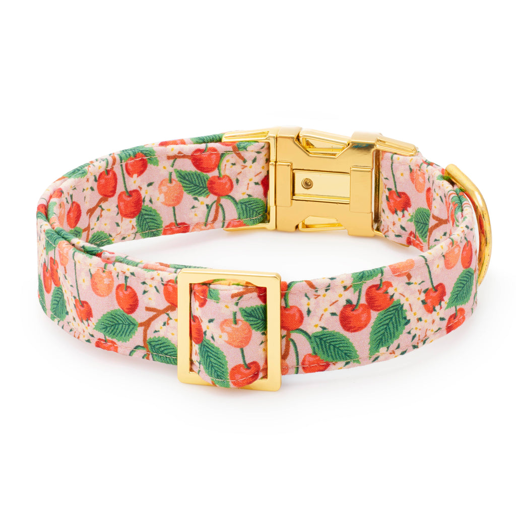 Rifle Paper Co. x TFD Cherry Blossom Spring Dog Collar