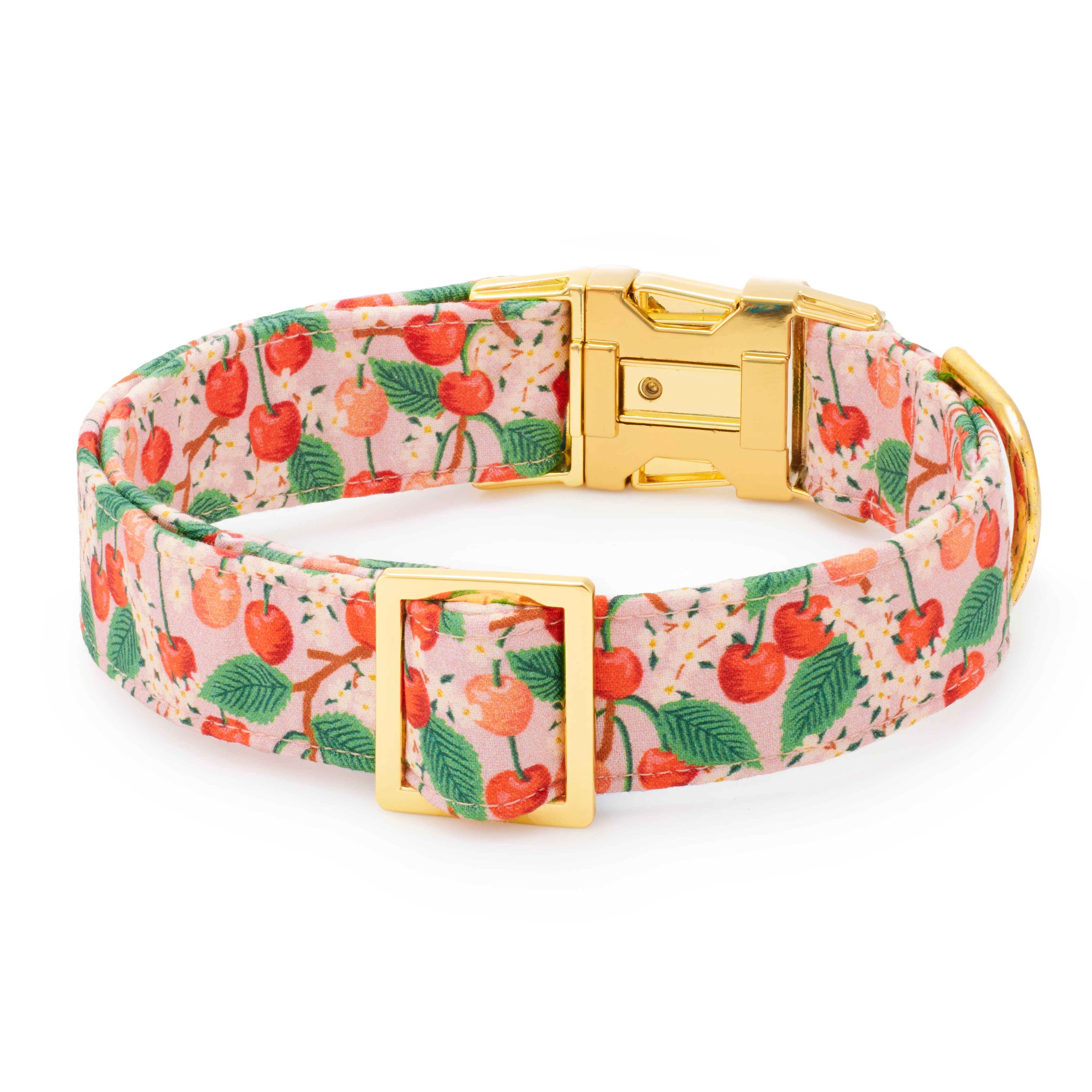 Rifle Paper Co. x TFD Cherry Blossom Spring Dog Collar