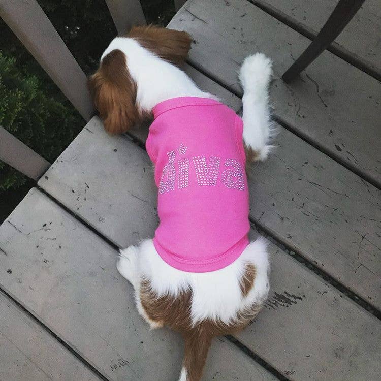 Diva Dog T-Shirt