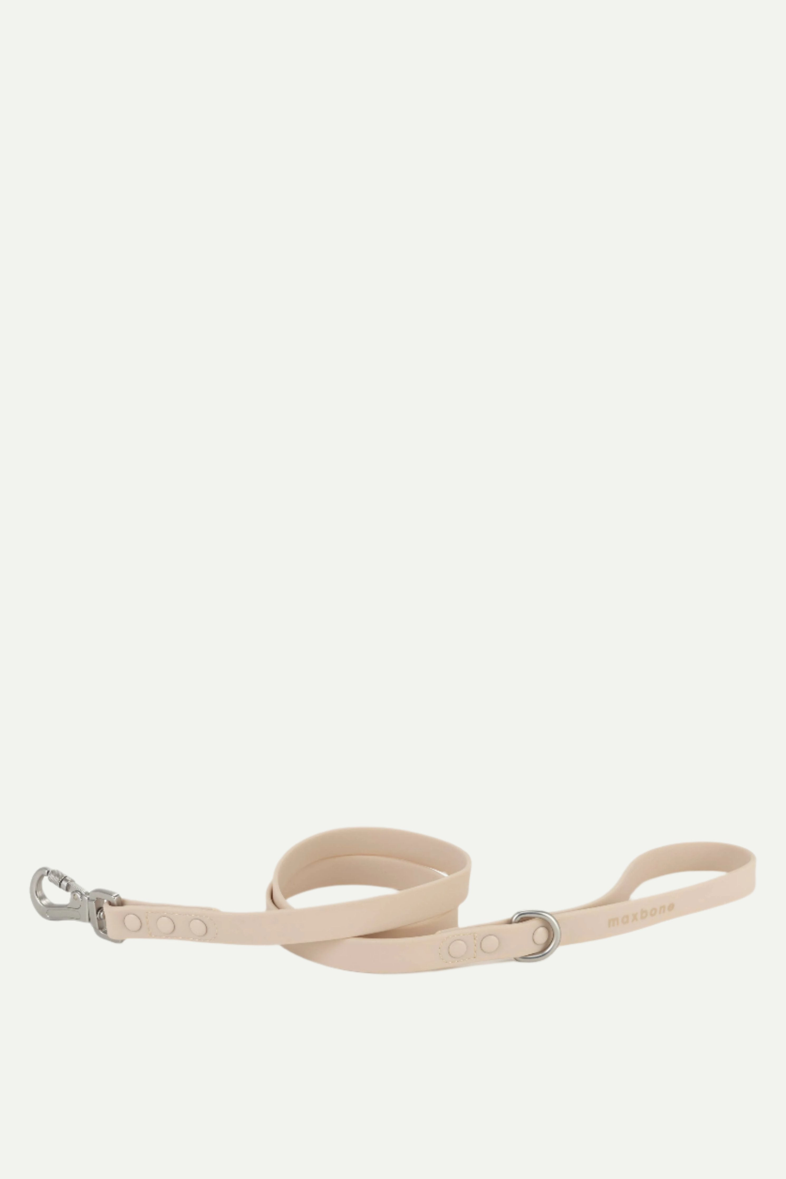 Sand Leash for Dogs