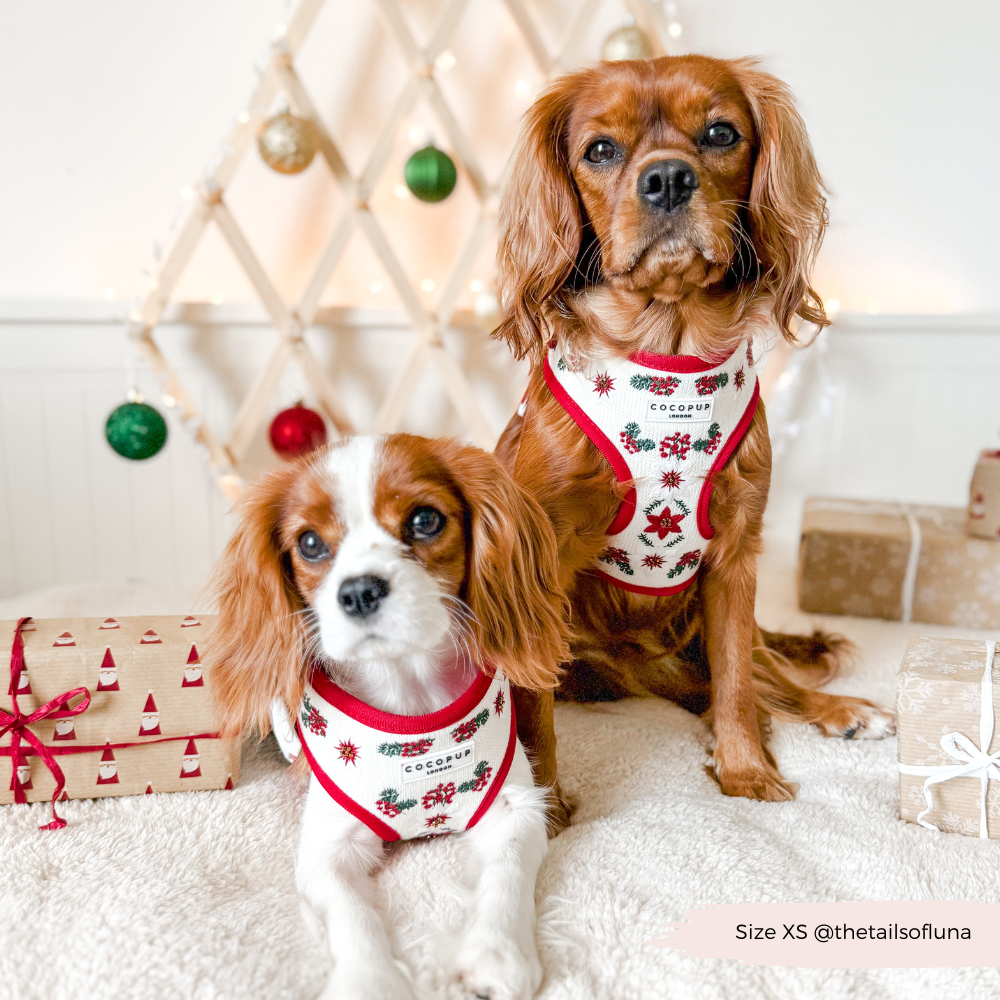 LUXE Embroidered Frosty Flower HARNESS