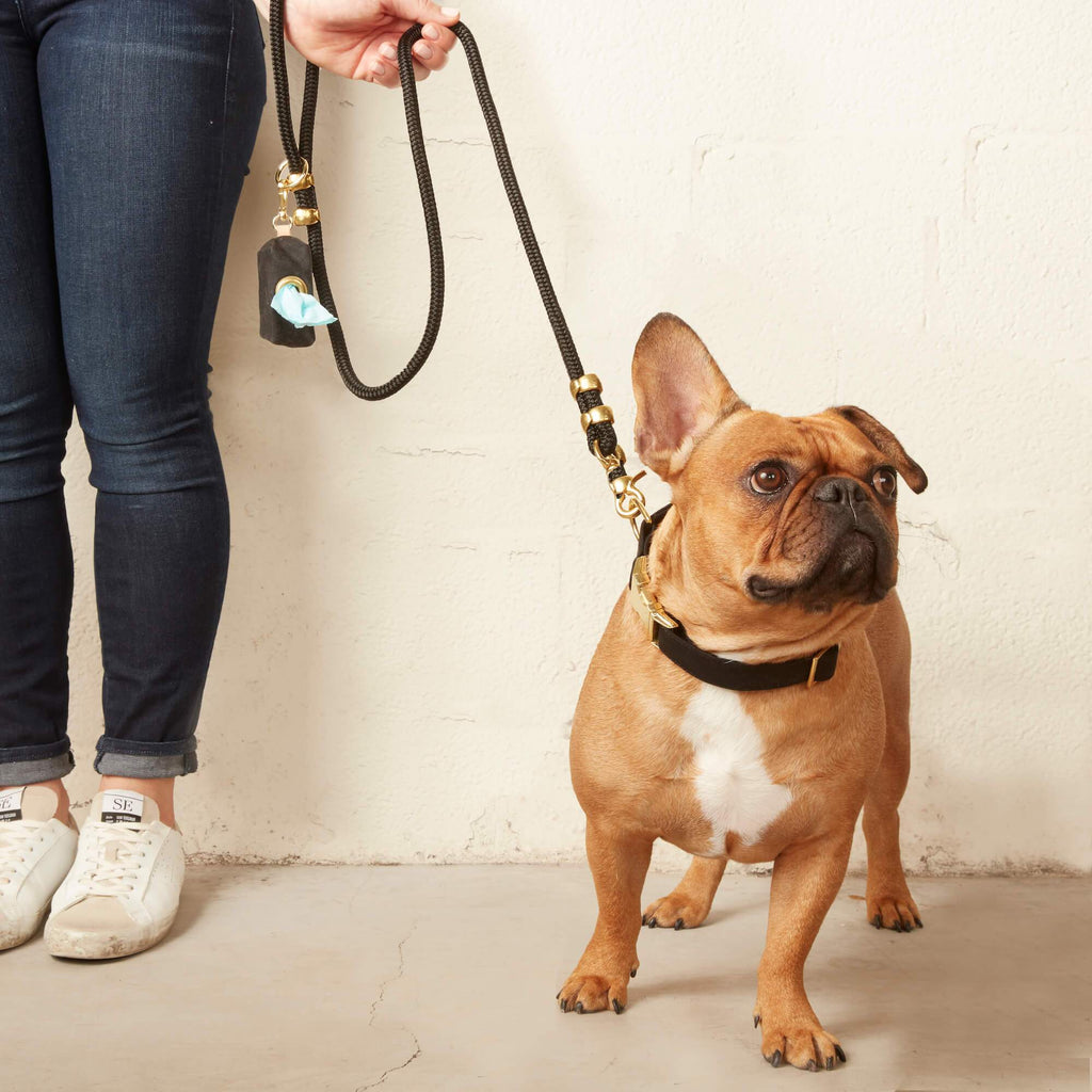 Onyx Waxed Canvas Poop Bag Dispenser: Black