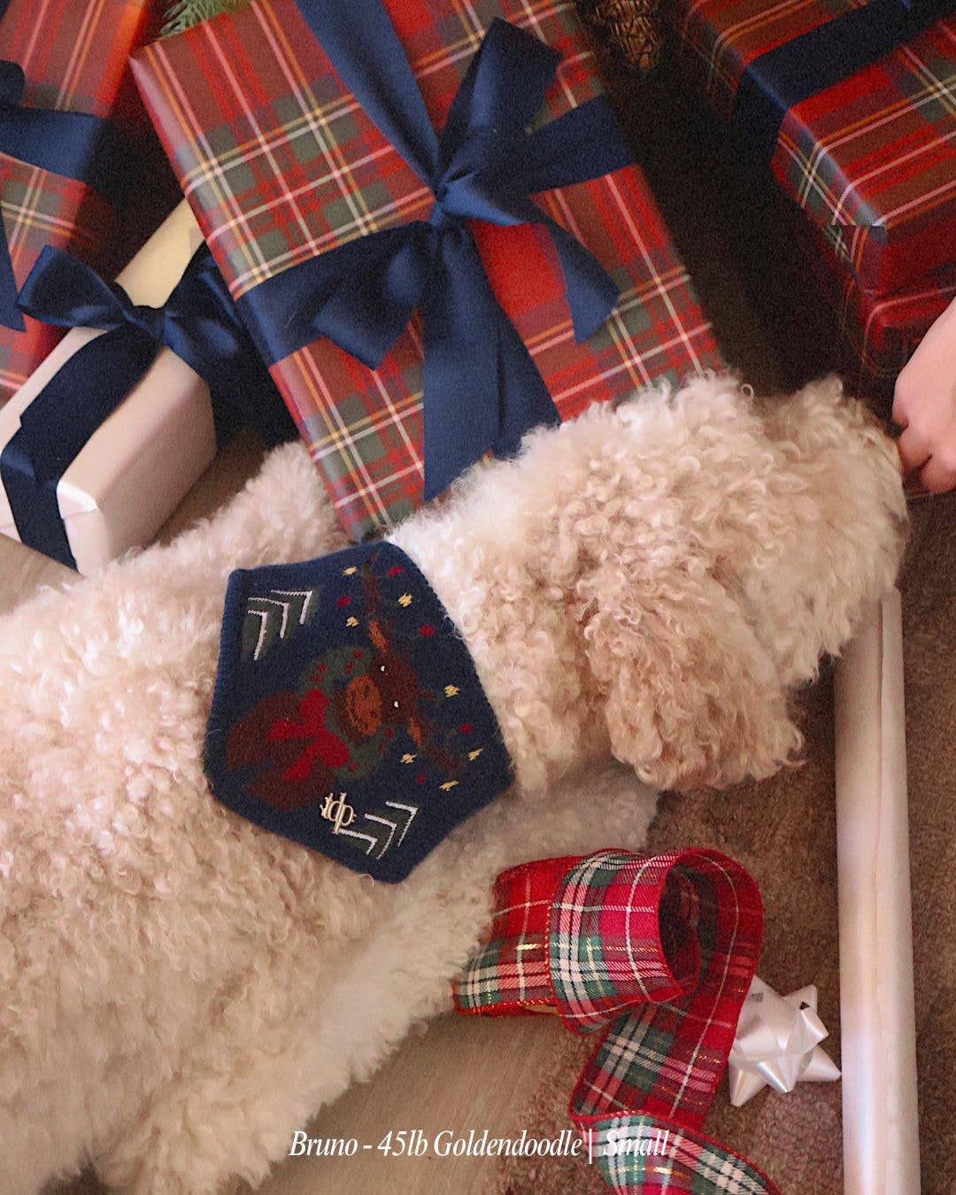 BANDANA | MONTY THE MOOSE