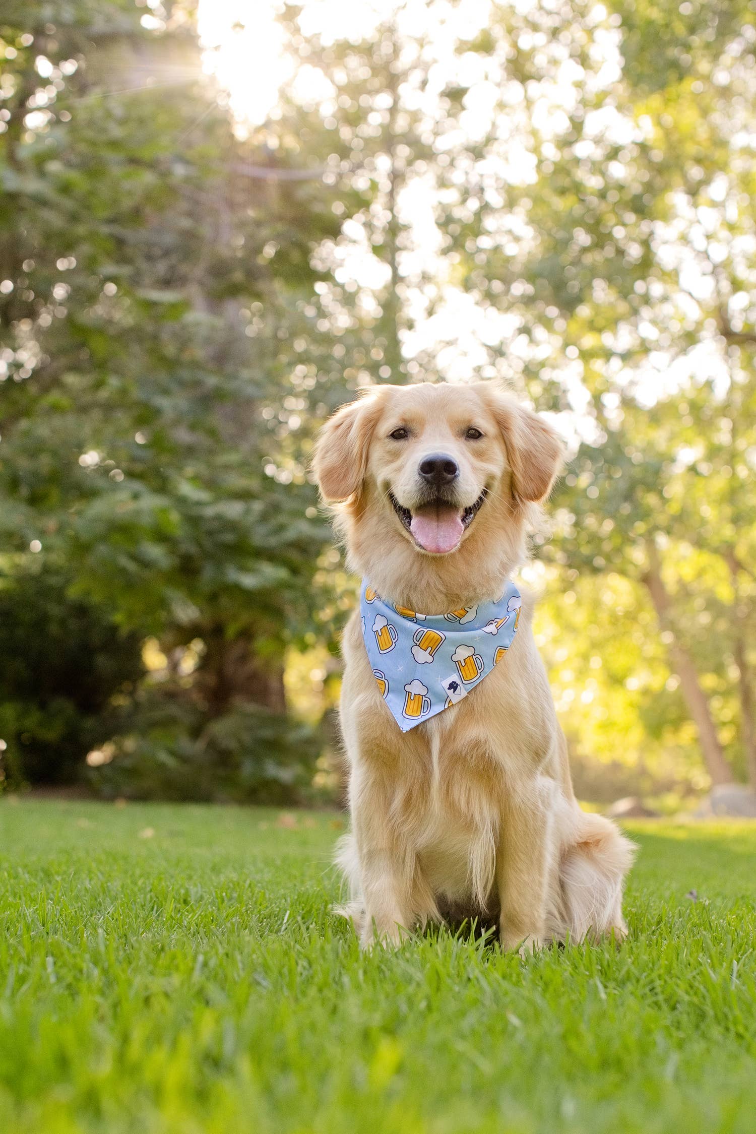 Cheers & Beer Dog Bandana