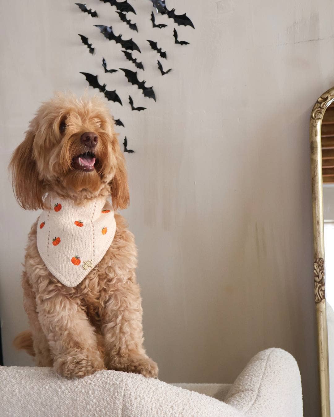 FALL DOG BANDANA | PUMPKIN HOLLOW