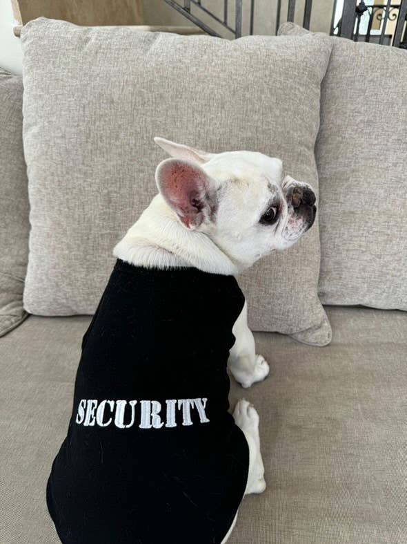 Security® Dog T-Shirt