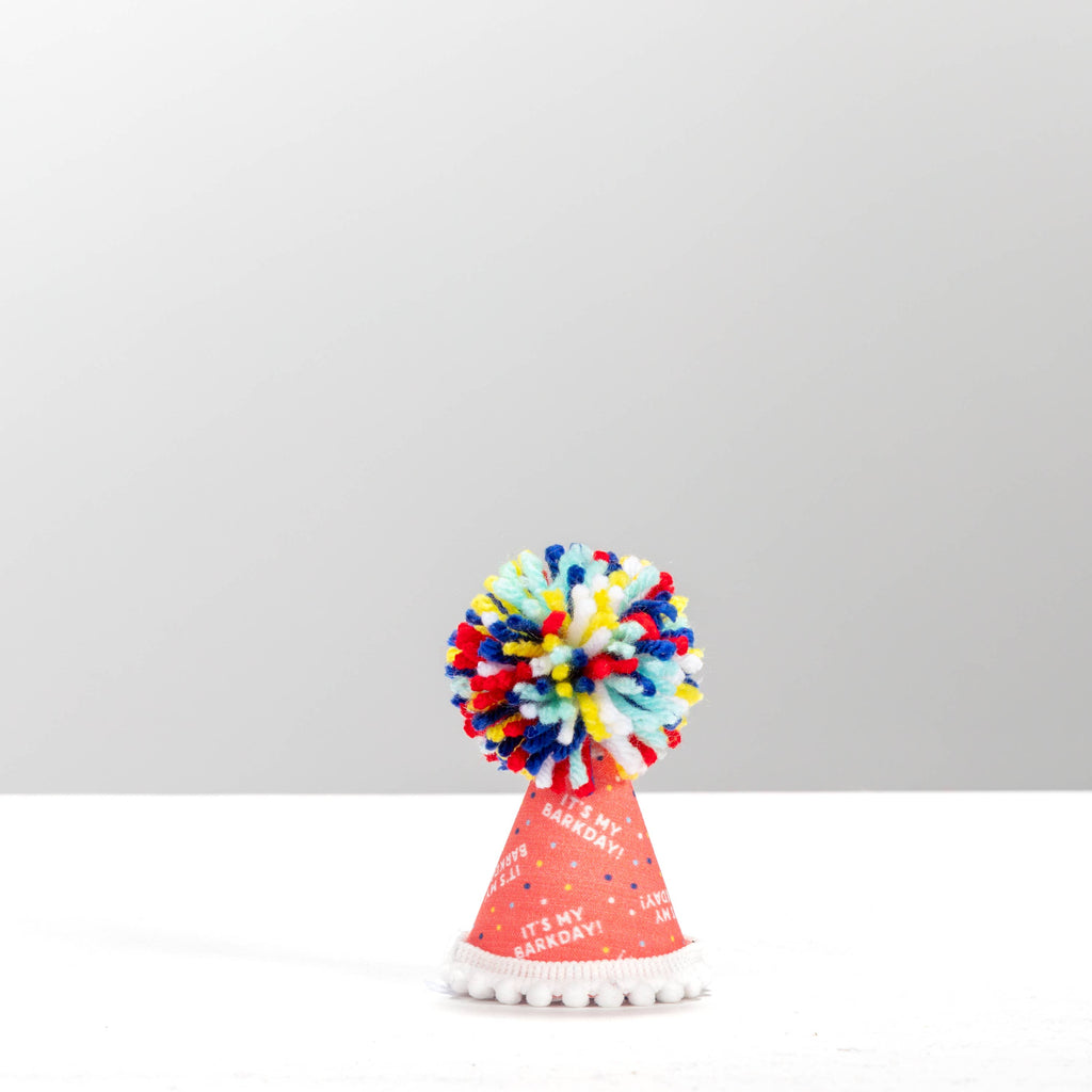 It's My Barkday Party Hat