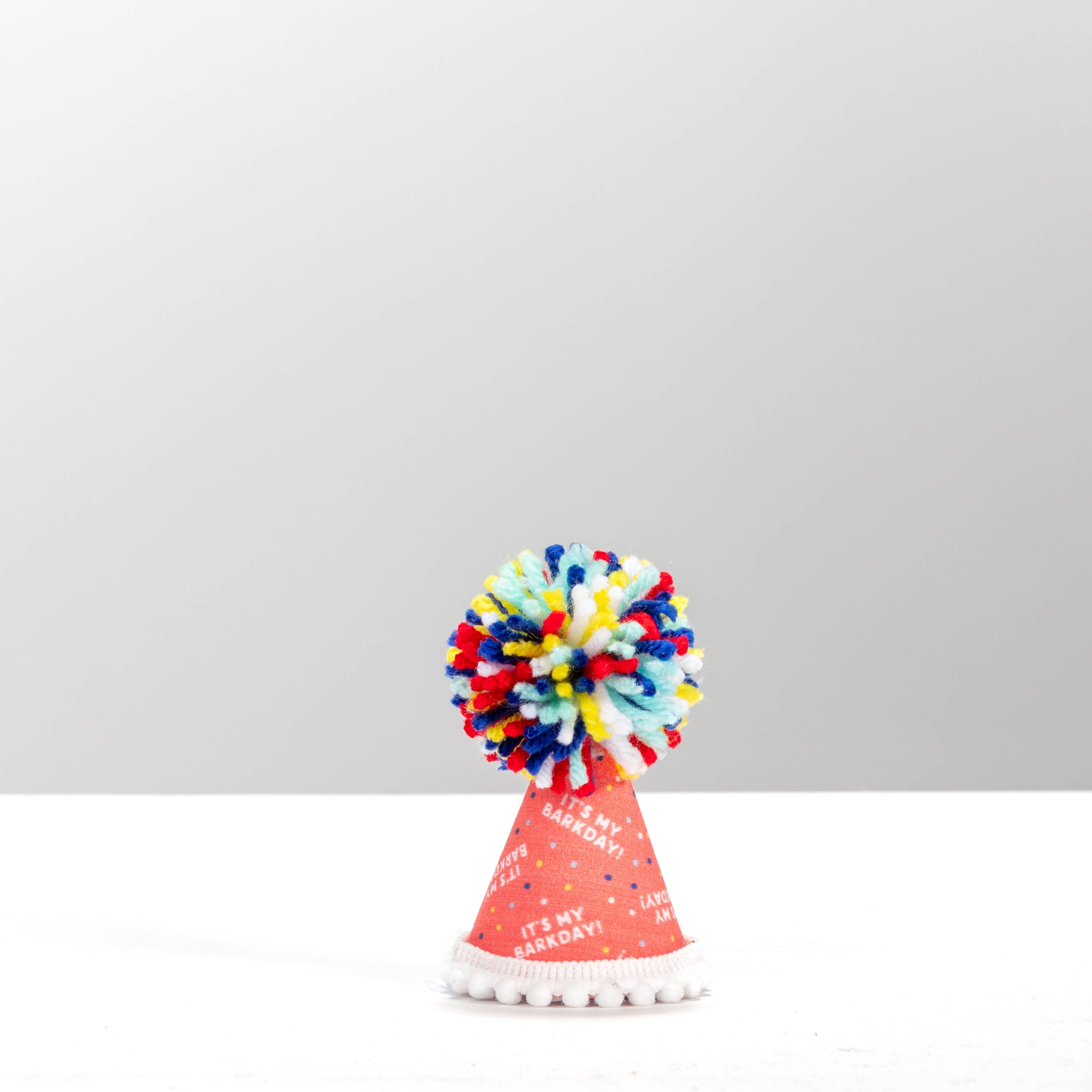 It's My Barkday Party Hat