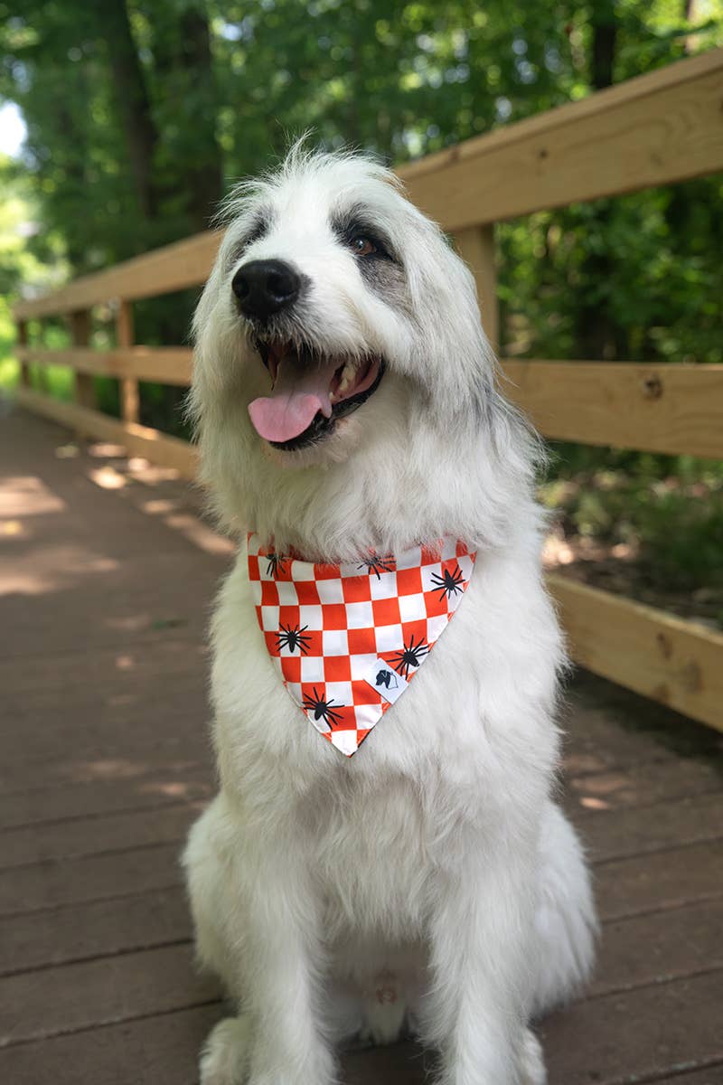 Halloween Plaid Dog Bandana