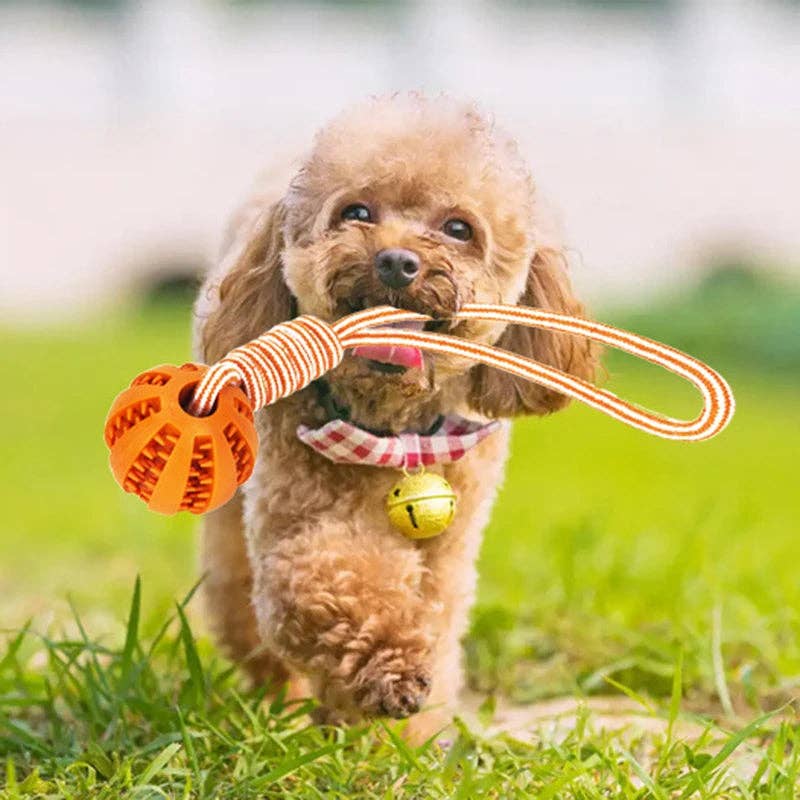 Dog Ball Toy with Rope Interactive