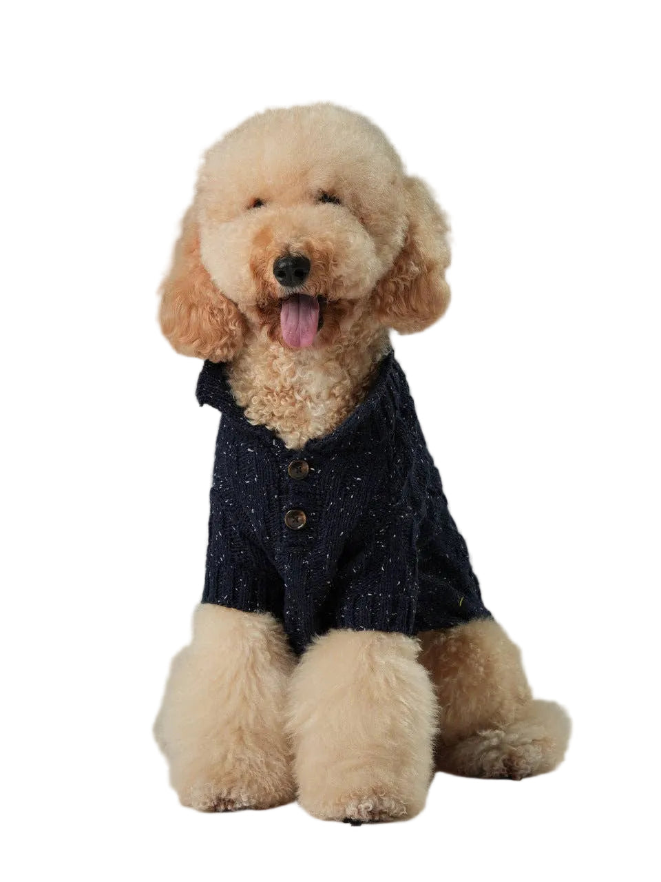 GLACIER PET SWEATER - NAVY